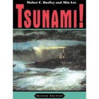 Image of Tsunami!